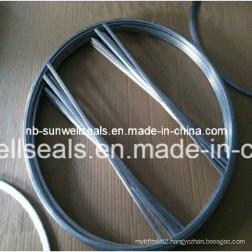 Heat Exchangers Double Jacket Gasket Djg (SUNWELL)